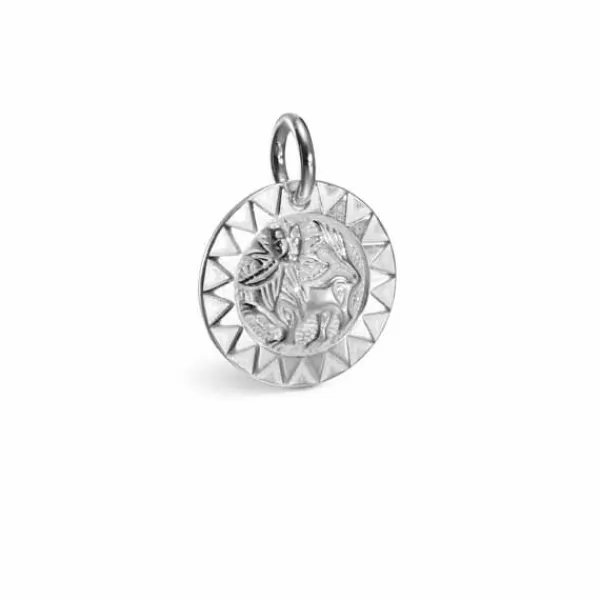 Kalevala Amuletti Aurinkoleijona Hopeariipus 28703132 Flash Sale