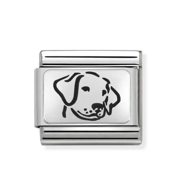 Nomination Jewelry SilverShine Teräskoru Muu 330109/06 New