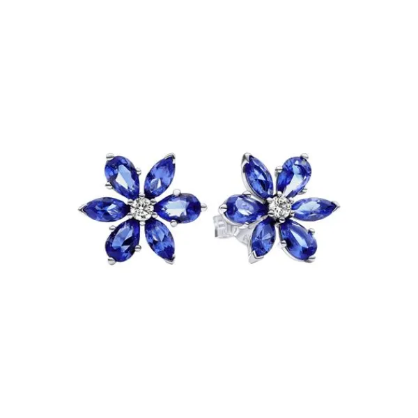 Pandora Hopeakorvakorut 292407C01 Shop